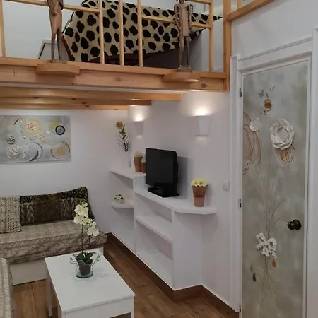 Beautiful And Loft - Apartment *